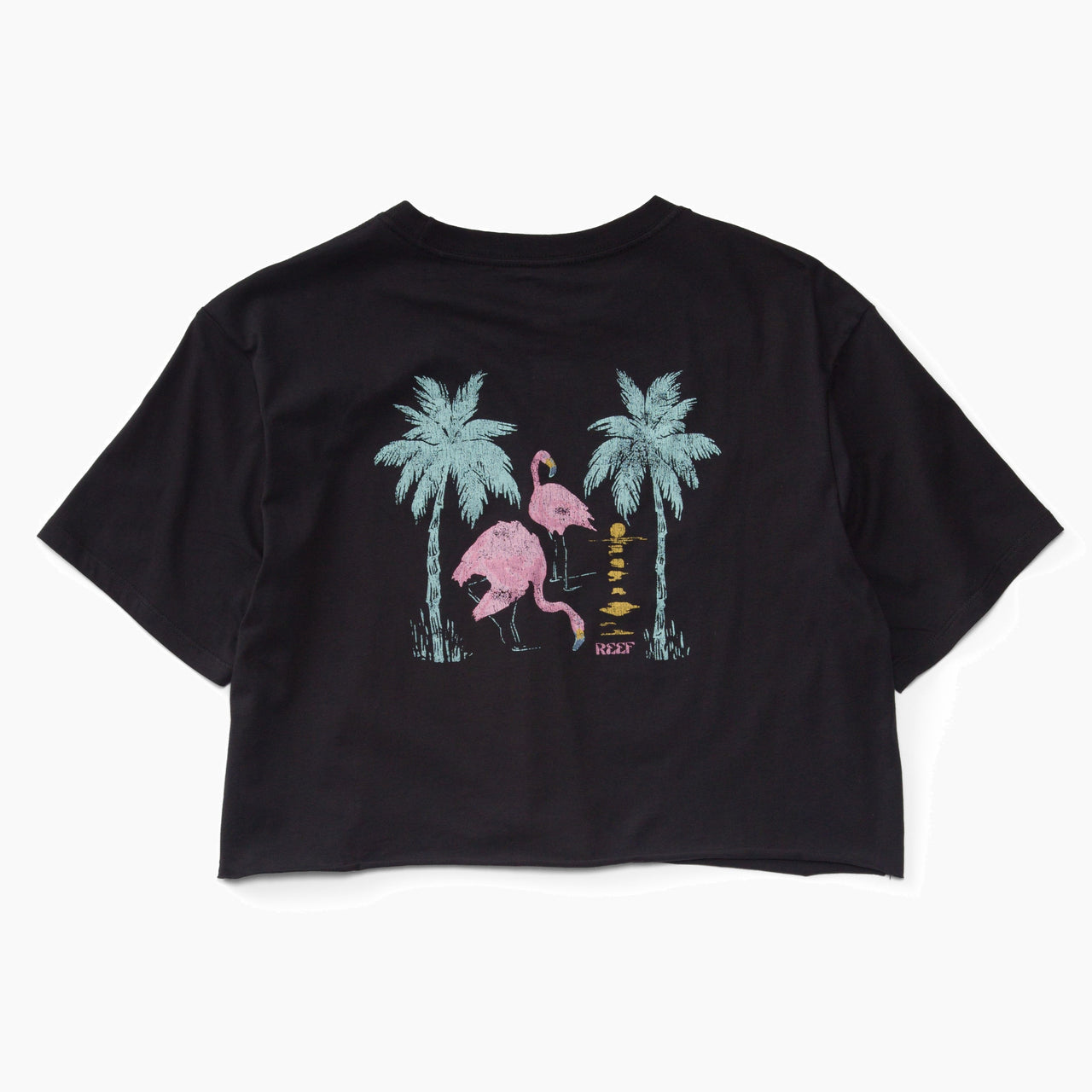 Flamazing Crop Tee